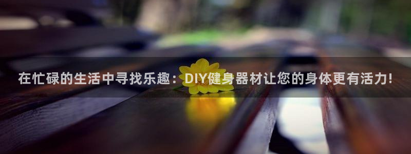 德国熊猫体育集团：在忙碌的生活中寻找乐趣：DIY健身