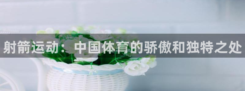 菲律宾ug环球官网：射箭运动：中国体育的骄傲和独特之处