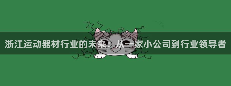 熊猫体育官网下载开户：浙江运动器材行业的未来：从一家小公司到